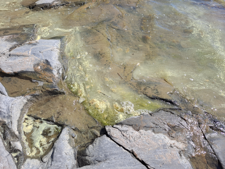 Suvisaaristo-Lauttasaari-Rotarien sinileväseuranta (Haukilahti, Mellstenintien kallioranta)-ObsIMG-202206071043-629f01ffd4320.png