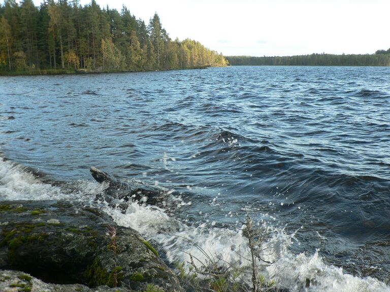 Tyrskyjä Riihiniemessä.JPG