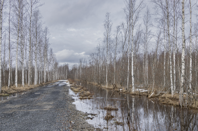 Tiedosto:IMG0339 lumipeite Alue4.png