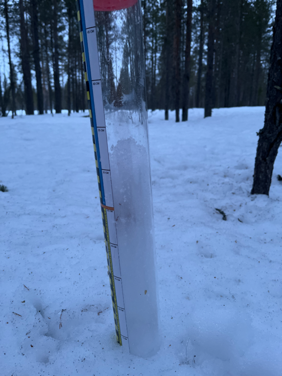 Jerisjoen alaosan alue (67.471)-Ratsutie-ObsSNOW-202604052058-69d2a464bc250.png