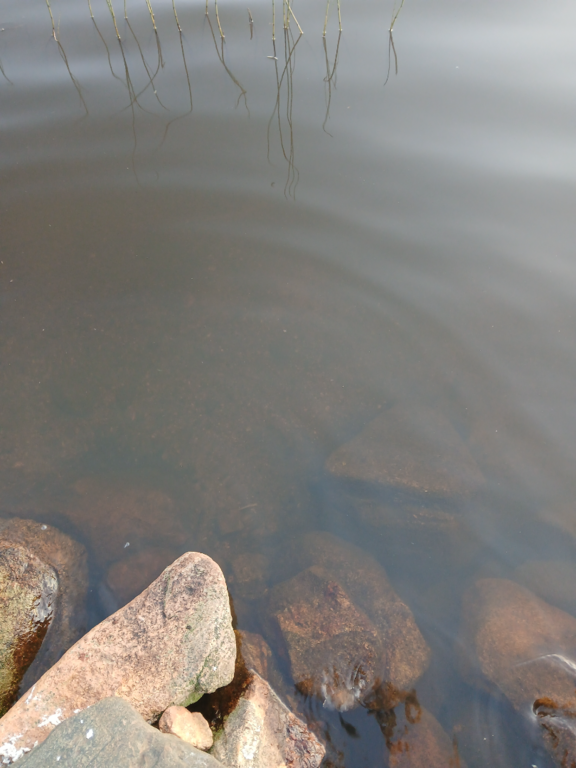 Konsajärvi (65.592.1.017)-Hevoskummun Upseeriparantola-ObsALG-202509012014-1756747087468.png