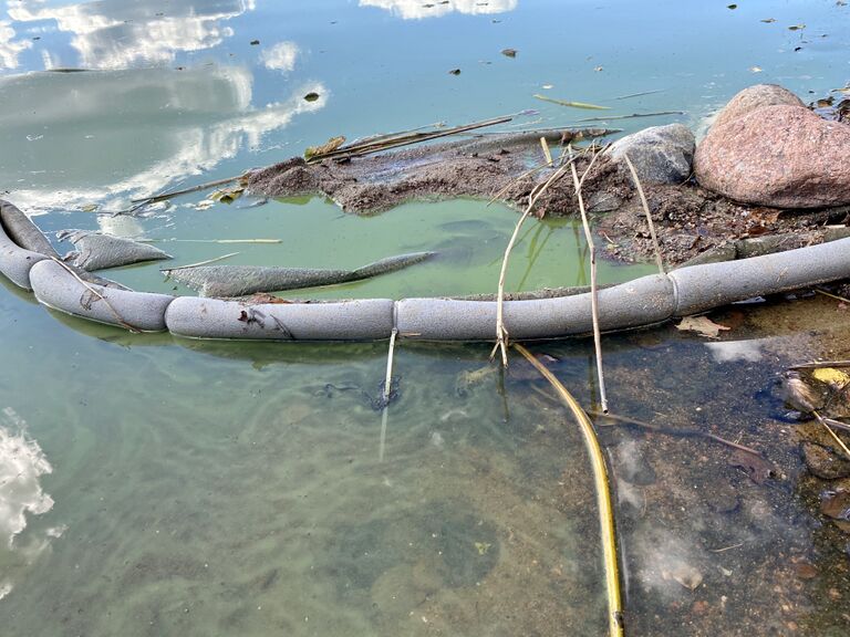 Rusutjärvi (21.083.1.001)-Valtakunnallinen sinileväseuranta (uimaranta)-ObsIMG-202009020843-19.jpeg