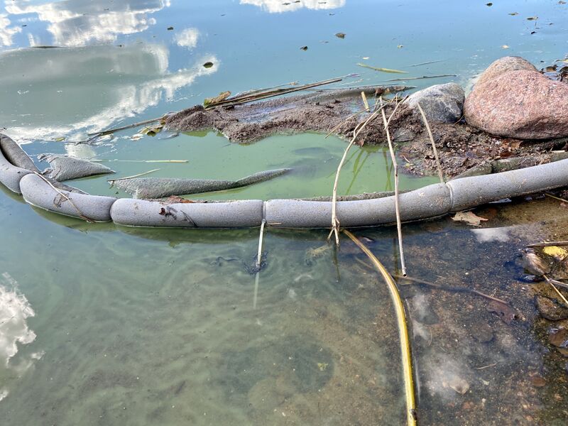 Tiedosto:Rusutjärvi (21.083.1.001)-Valtakunnallinen sinileväseuranta (uimaranta)-ObsIMG-202009020843-19.jpeg