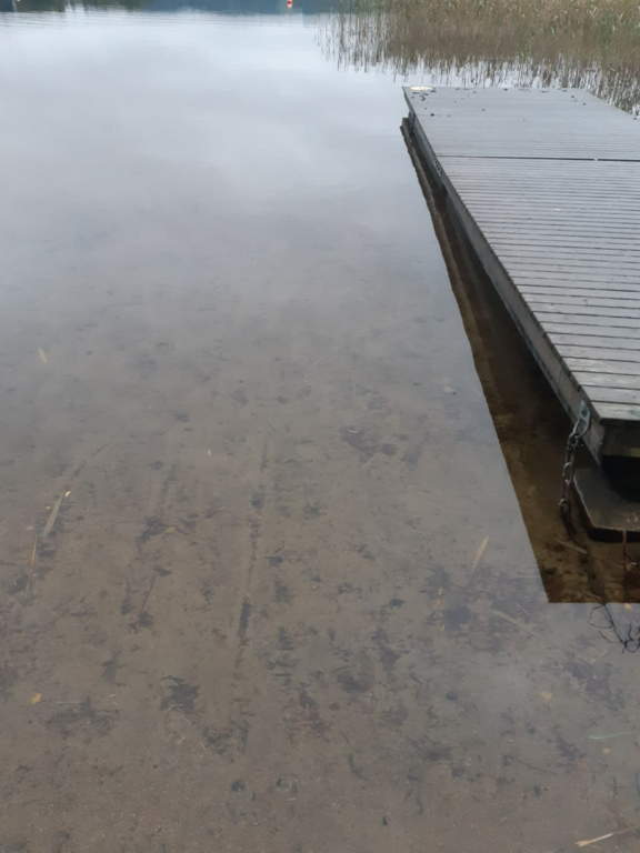 Tuomiojärvi (14.291.1.002)-Valtakunnallinen sinileväseuranta-ObsALG-202509170721-1758109977573.png