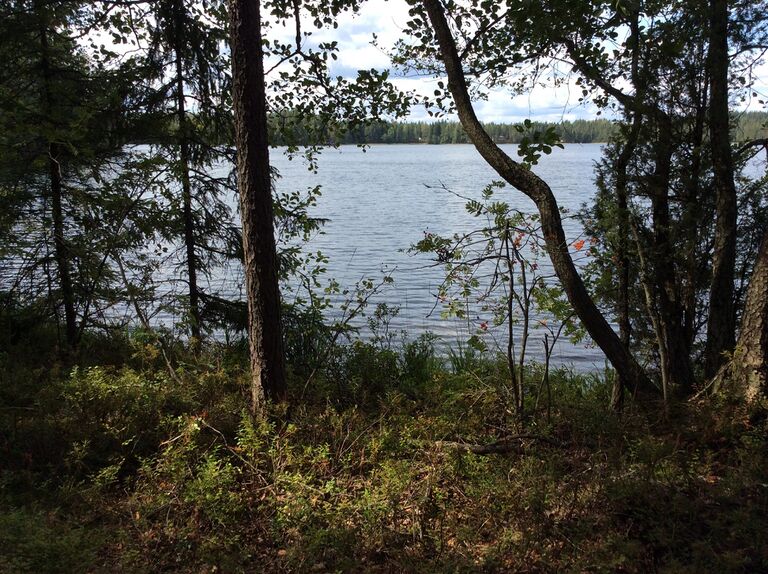 Rantametsä1.jpg