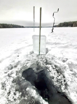 Sääksjärvi (23.097.1.002)-Sääksjärvi-ObsICE-202601201200-1768912898973.png