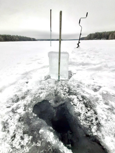 Sääksjärvi (23.097.1.002)-Sääksjärvi-ObsICE-202601201200-1768912898973.png