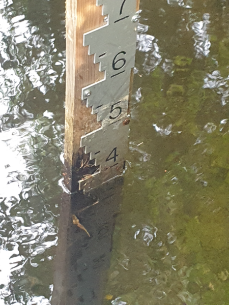 Tiedosto:Urpolanjoen valuma-alue (04.152)-Urpolan aarimaan puistoväylän silta-ObsIMG-202409181142-66ea92a6a3fae.png