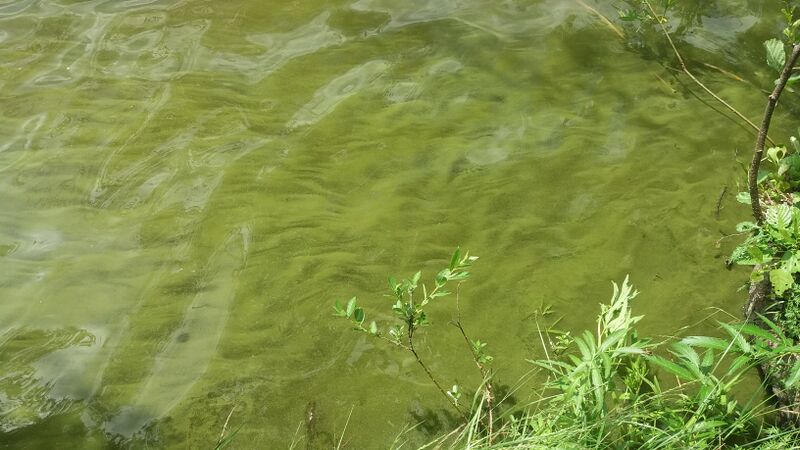 Tiedosto:20180614 141823.jpg