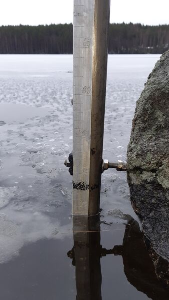 Tiedosto:20200202 125436.jpg