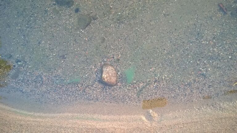 Himmerki 29.9.2020, hieman levää.jpg