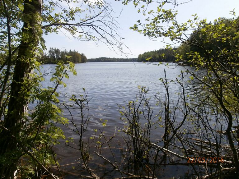 Osterbroviken Brukstrasket.JPG