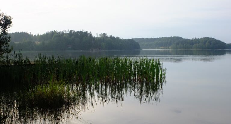 Ylisjärvi2.jpg