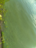 Hiidenvesi (23.031.1.001)-Haudankallion uimaranta -ObsIMG-202606291800-6a428906ed0b4.png