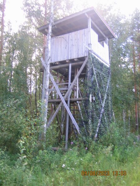 Tiedosto:Koistislammen lintutorni.JPG