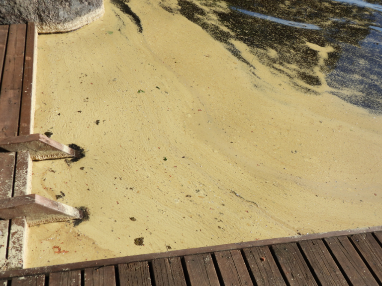 Konnevesi (14.711.1.001)-Rappaatlahti-ObsTRASH-202406010910-665abed33b587.png