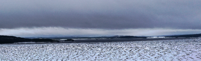 Päijänne (yhd.)-Ristiselkä-ObsIMG-202301111455-63c0037589f6d.png