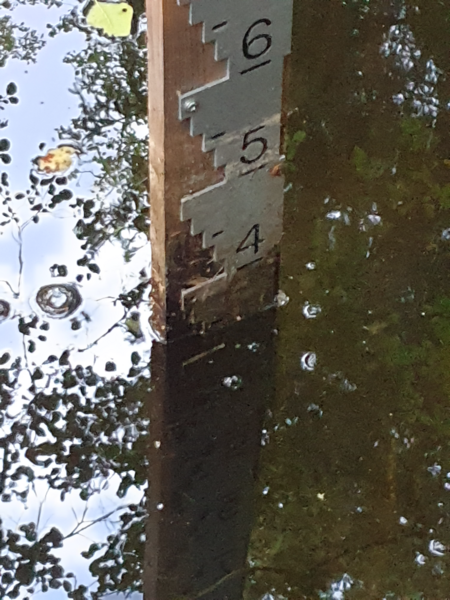 Tiedosto:Urpolanjoen valuma-alue (04.152)-Urpolan aarimaan puistoväylän silta-ObsIMG-202408271949-66ce03f840cd1.png