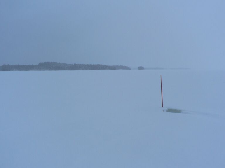 Verkot riihiniemessä.JPG