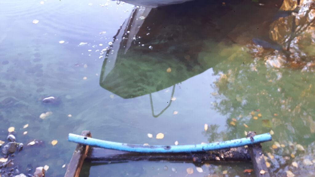 Alajärvi (47.043.1.001)-Pekkola-ObsIMG-201810071230-19.jpg