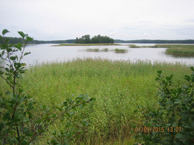 Morsfjardenin lintutornista.JPG