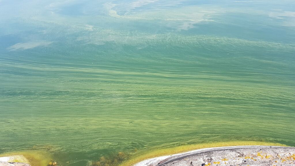 Rymättylän ja Houtskarin välinen saaristo-Murhaluoto Naantali-ObsALG-202006281147-12.jpg