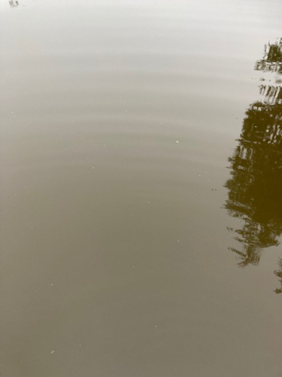 Teuronjoen alaosan alue (35.831)-Rotarien sinileväseuranta (Teuronjoki)-ObsSECCHI-202309060811-64f80af6494fe.png