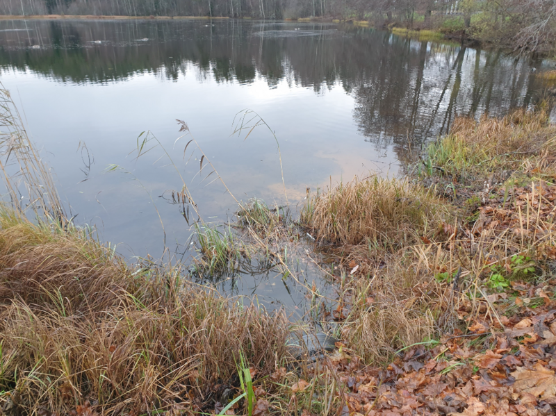 Tiedosto:Urpolanlampi (04.152.1.001)-Uusi hulevesiputki-ObsIMG-202411121404-673385f897d1c.png