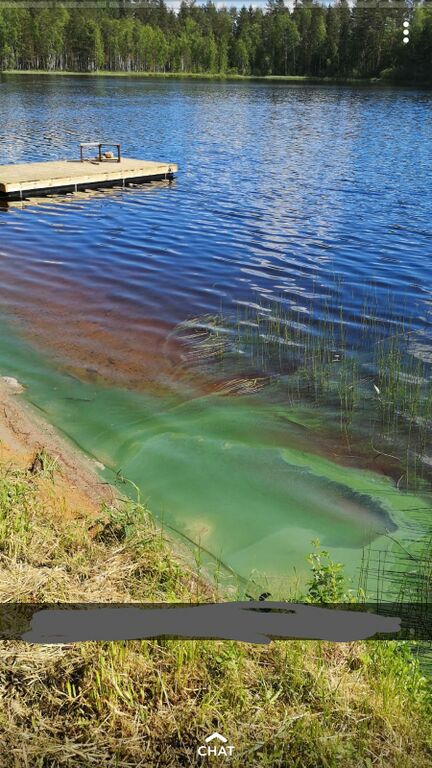 Kankarisvesi (14.512.1.002)-Havaintopaikka 1-ObsIMG-201906162235-31.jpg