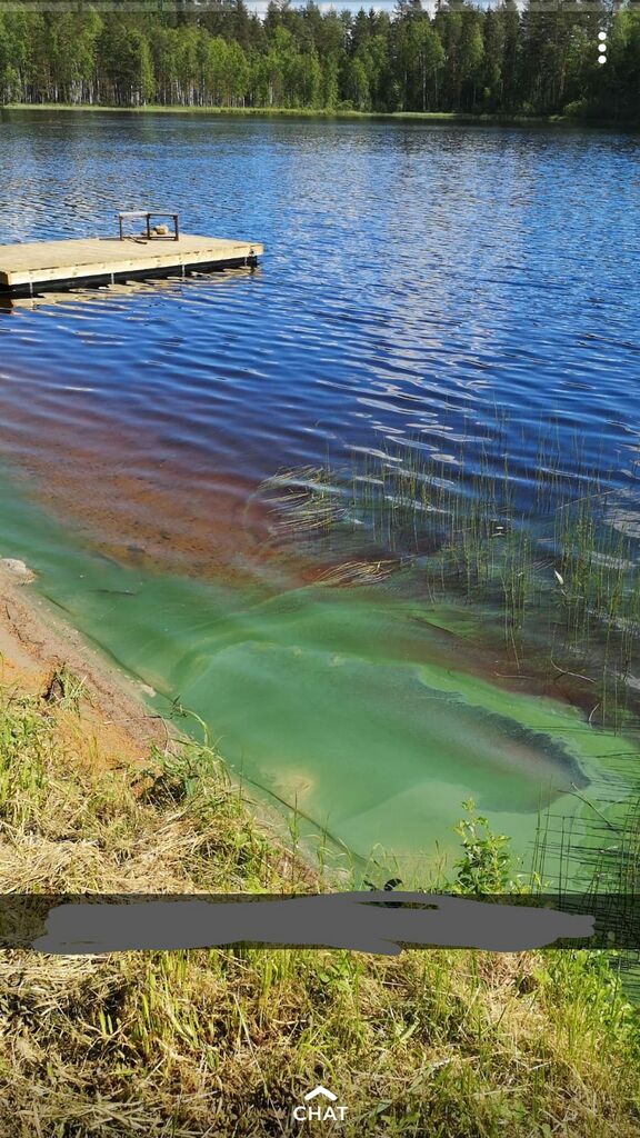 Kankarisvesi (14.512.1.002)-Havaintopaikka 1-ObsIMG-201906162235-31.jpg