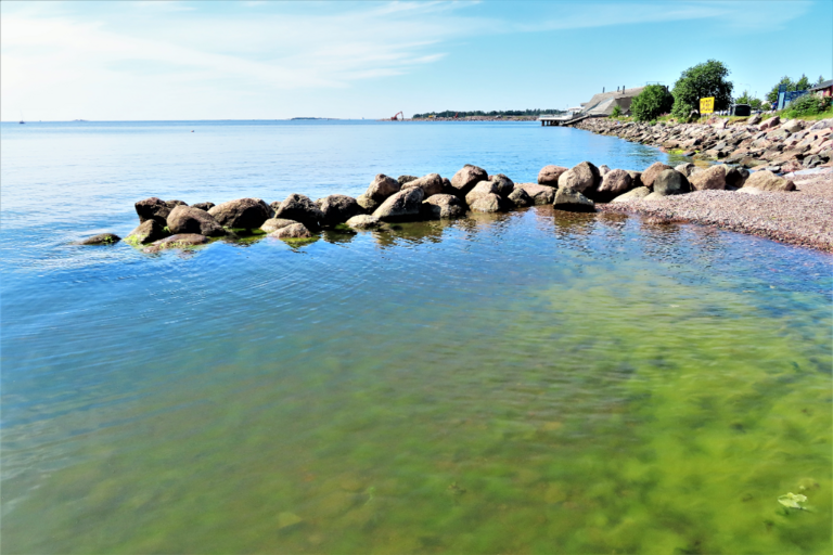 Kruunuvuorenselkä-Rotarien sinileväseuranta (Munkkisaari)-ObsALG-202106282156-60da1c41ec81e.png