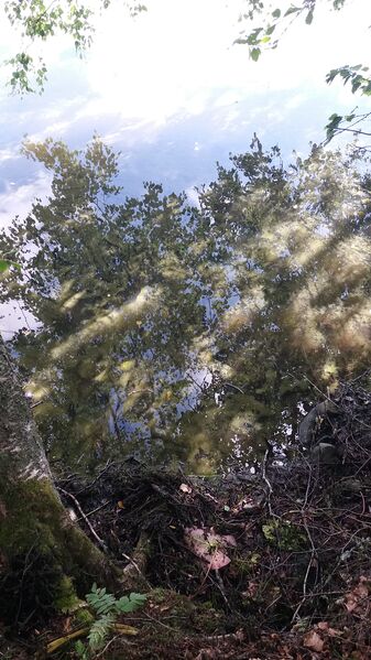 Tiedosto:20170730 104656.jpg