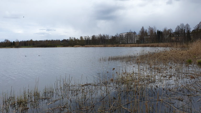 Iidesjärvi (35.214.1.001)-Havaintopaikka 1-ObsIMG-202505091535-681df7959f929.png