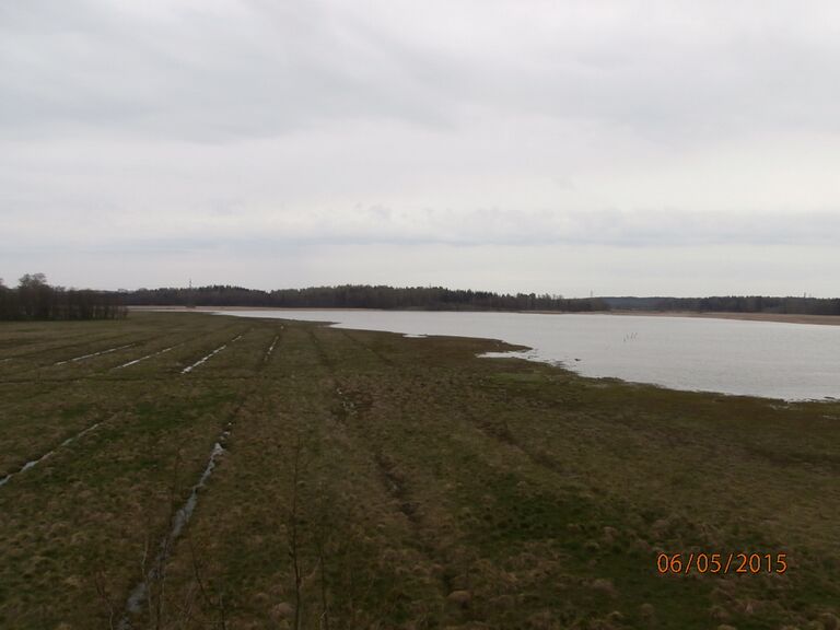 Lammassaaren lintutornista.JPG