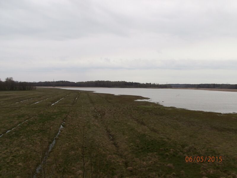 Tiedosto:Lammassaaren lintutornista.JPG