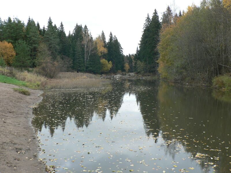 Tiedosto:Matarinkosken syksy.JPG