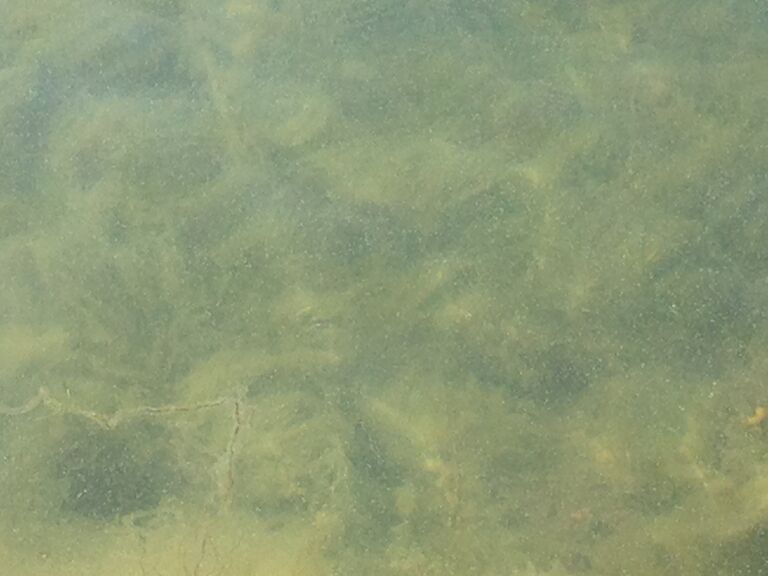 Pieni Lehtisaari 15.7.2015.jpg