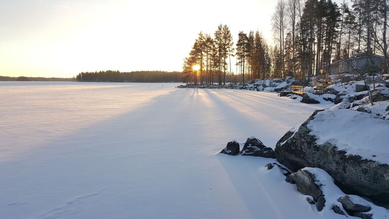 Puula (14.923.1.001)-Marjoniemi-ObsIMG-201701061043-72.jpg
