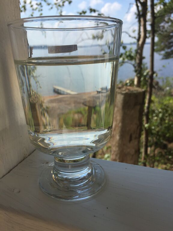 Pyhäjärvi (14.121.1.004)-Matin mökki-ObsALG-201807251124-91.jpeg