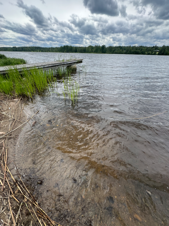 Toiviaisjärvi (04.552.1.013)-Valtakunnallinen sinileväseuranta (Kaarteenperä)-ObsIMG-202506231438-1750678884717.png