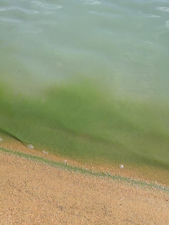 Yli-Kitka (73.025.1.001)-Havaintopaikka 1-ObsIMG-201907201553-4.jpg