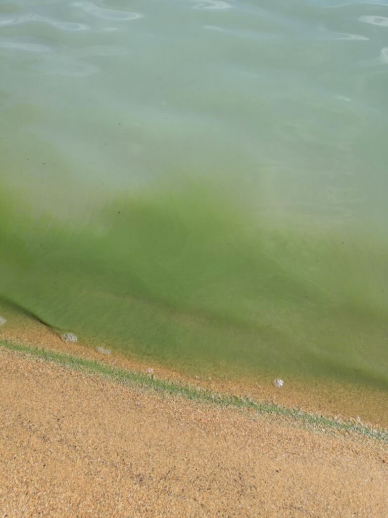 Yli-Kitka (73.025.1.001)-Havaintopaikka 1-ObsIMG-201907201553-4.jpg