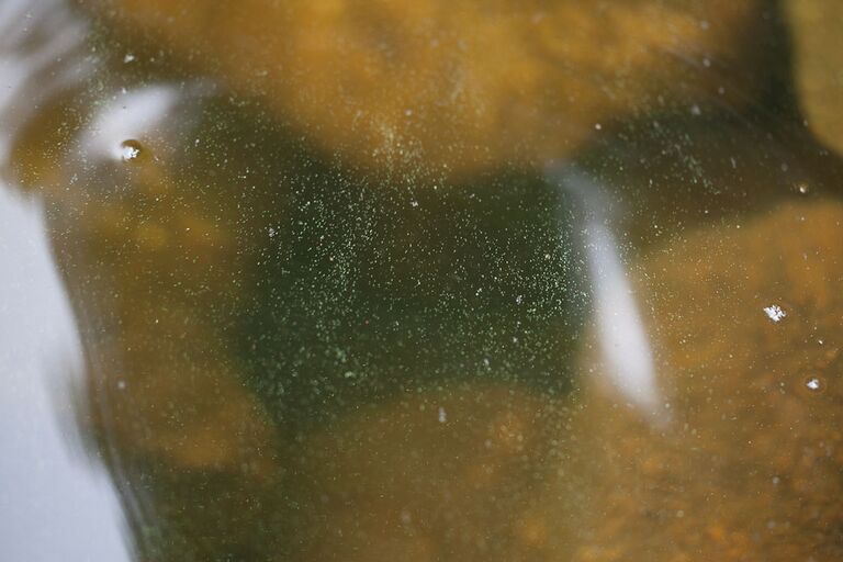 2011-07-10 11-03-25.jpg