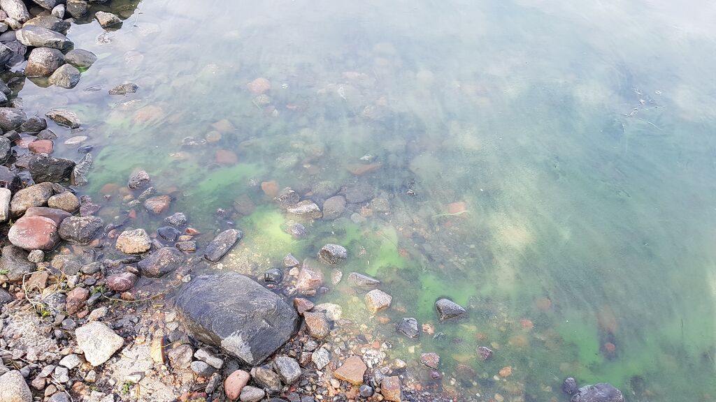 Hylkimyksenaukko-Saarnikarin aukko-ObsALG-202007051122-85.jpg