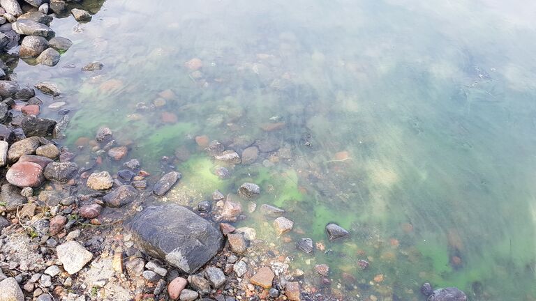 Hylkimyksenaukko-Saarnikarin aukko-ObsALG-202007051122-85.jpg