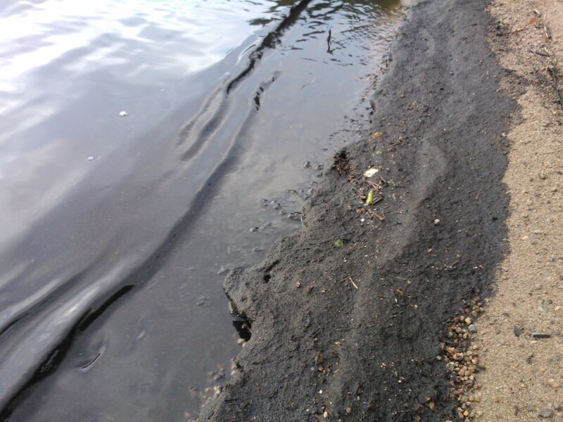 Tiedosto:WP 001726.jpg