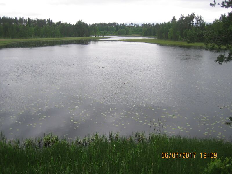 Tiedosto:Alasen lintutornista.JPG