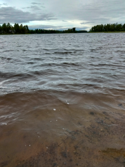 Evijärvi (47.021.1.001)-Valtakunnallinen sinileväseuranta (Sillankorvan leirintäalue)-ObsALG-202108031014-6108ed2dc21ee.png