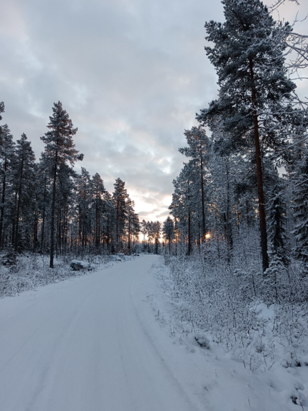Tiedosto:Hankaveden - Väliveden alue (35.432)-Havaintopaikka 1-ObsIMG-202601251302-6975f95b27756.png