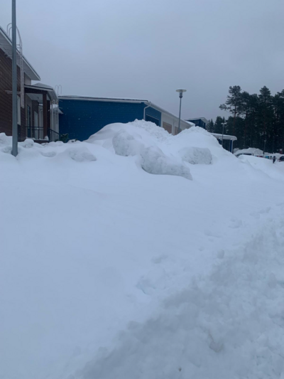 Havainto-Ii, Iin lukio-ObsSNOW-202401231429-65beccf40eb33.png